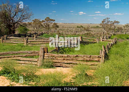 Stock yards fabriqués à partir de pin gris dans l'outback australien, cyprès de paysage après la pluie l'herbe émeraude à l'ancienne gare en Zanci Mungo National Park Banque D'Images