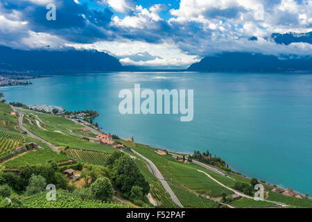 Le vignoble de Lavaux, sur le Lac Léman, Site du patrimoine mondial de l'UNESCO. Le lac de Genève, Suisse. Banque D'Images