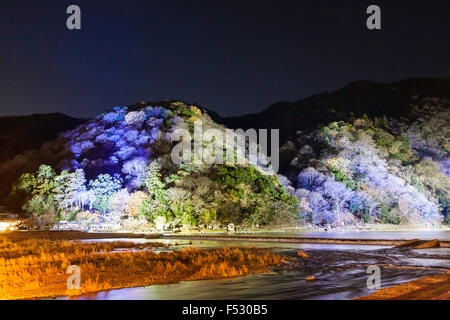 Le Japon, Kyoto, Arashiyama. Hanatouro festival lumière. La nuit. Vue sur la rivière Hozu en arbre couvert côté montagne éclairée de mauve et de feux verts. Banque D'Images