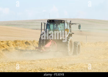 Foin sec à l'agriculteur le tournant avant la mise en balles. Angleterre, Royaume-Uni. Banque D'Images