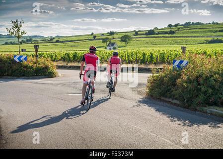 Tour à vélo dans les vignobles près de Beaune, Côte d'Or, France, Europe Banque D'Images