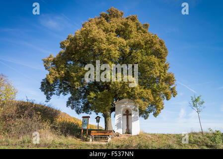 Calvaire avec arbre de mémoire à l'automne, la République tchèque, la Bohême, l'UE, l'Europe Banque D'Images