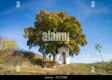 Calvaire avec arbre de mémoire à l'automne, la République tchèque, la Bohême, l'UE, l'Europe Banque D'Images
