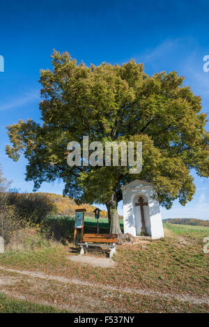 Calvaire avec arbre de mémoire à l'automne, la République tchèque, la Bohême, l'UE, l'Europe Banque D'Images
