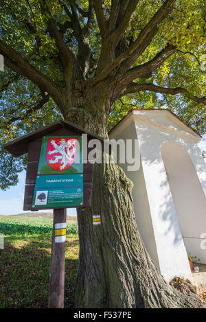 Calvaire avec arbre de mémoire à l'automne, la République tchèque, la Bohême, l'UE, l'Europe Banque D'Images