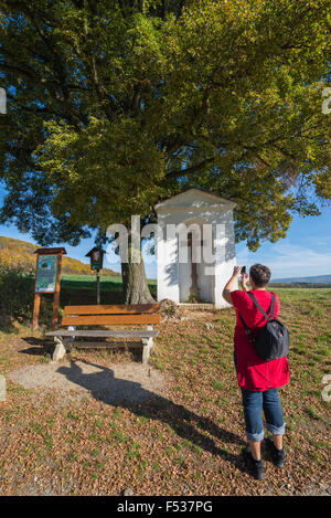 Calvaire avec arbre de mémoire à l'automne, la République tchèque, la Bohême, l'UE, l'Europe Banque D'Images