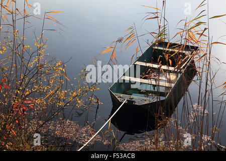 Les zones humides (naturelles) meadowlands en automne Banque D'Images