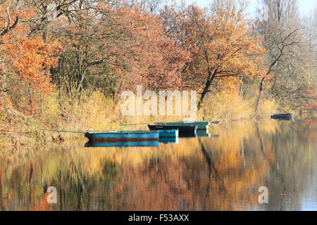 Les zones humides (naturelles) meadowlands en automne Banque D'Images