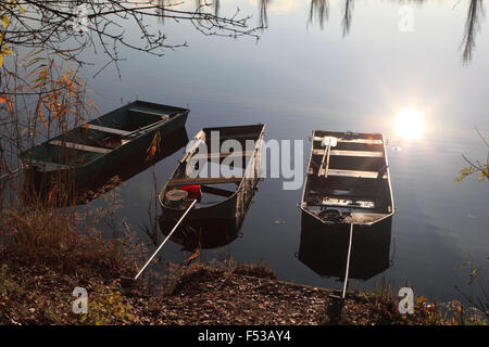 Les zones humides (naturelles) meadowlands en automne Banque D'Images