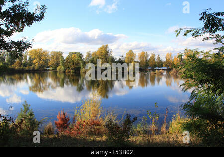 Les zones humides (naturelles) meadowlands en automne Banque D'Images