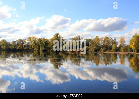 Les zones humides (naturelles) meadowlands en automne Banque D'Images