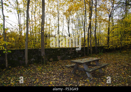 Lieu de repos avec des bancs en bois et table à l'automne Banque D'Images