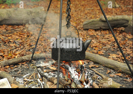 Électrique sur bouillante ouvrir le feu dans les bois Banque D'Images