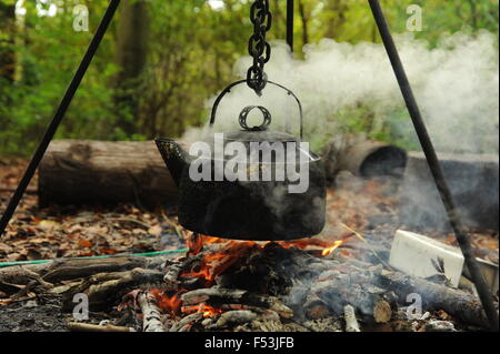 Électrique sur bouillante ouvrir le feu dans les bois Banque D'Images