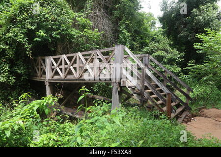 Pont dans la jungle, Kbal Spean, Cambodge Banque D'Images