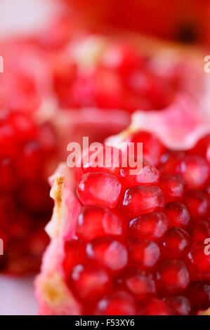 Close up of pomegranate fruit ouvert. Banque D'Images