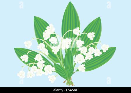 Illustration réaliste dessiné à la main d'un bouquet des lis de la vallée Illustration de Vecteur