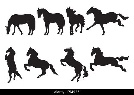 Collection des différentes silhouettes de chevaux - vector illustration isolé sur fond blanc Illustration de Vecteur