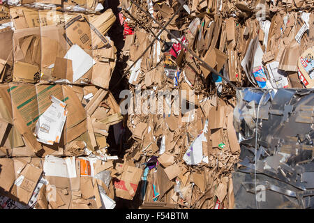 Bozeman, Montana/USA - 21 octobre 2015 : grand jeu de carton dans un centre de recyclage. Banque D'Images