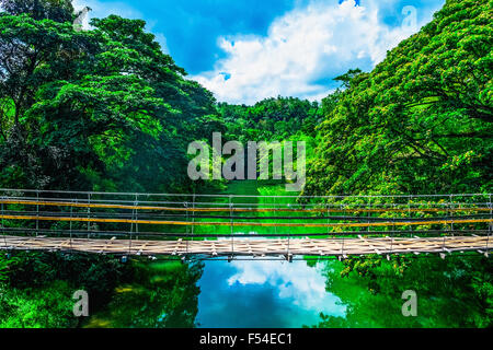 Pont suspendu pour piétons de bambou sur la rivière dans la jungle, Bohol, Philippines Banque D'Images