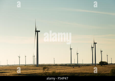 Silhouettes de moulins à vent dans une zone rurale contre la fin de l'après-midi ciel Banque D'Images
