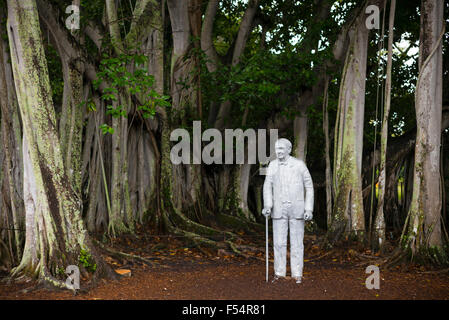 Statue de Thomas Edison par banyan arbre planté par lui, à sa succession d'hiver home, Seminole Lodge, Fort Myers, Floride, USA Banque D'Images