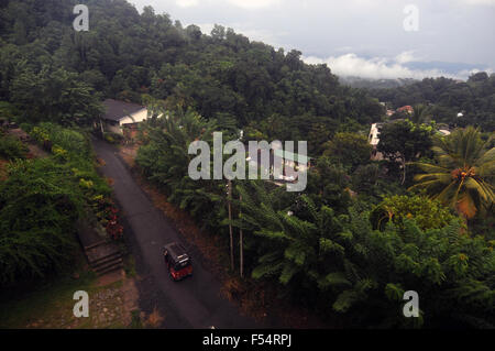 Après-midi pluvieux dans les contreforts de Kandy, Sri Lanka Banque D'Images