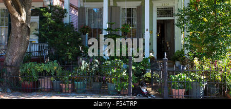 Chalet en bois traditionnel maison avec des colonnes dans le Garden District de La Nouvelle-Orléans, Louisiane, Etats-Unis Banque D'Images