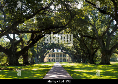 La plantation d'Oak Alley antebellum mansion house et couvert de chênes vivent dans le Delta du Mississippi à vacherie, Louisiana, USA Banque D'Images