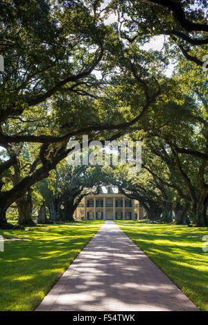 La plantation d'Oak Alley antebellum mansion house et couvert de chênes vivent dans le Delta du Mississippi à vacherie, Louisiana, USA Banque D'Images