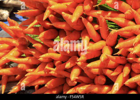 De nombreuses matières premières fraîches mûres carotte orange sur une table. Légumes naturels affiché sur rue pour vendre à Munnar Kerala Inde Banque D'Images