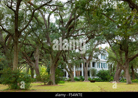 L'Albanie avec le Sud de l'hôtel particulier de Plantation chênes vivent Quercus virginiana, le Bayou Teche par Jeanerette, Louisiana, USA Banque D'Images