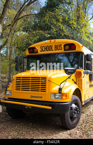 Autobus scolaire jaune lumineux traditionnel, USA Banque D'Images