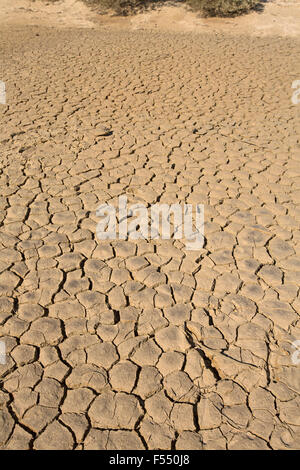 L'article de sol brun fissurée profondément dans l'outback Queensland Australie au cours de la sécheresse dévastatrice Banque D'Images