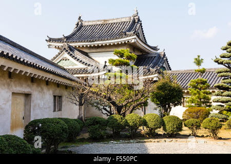 Le Japon, château de Wakayama. L'intérieur composé, appelé le Honmaru avec l'angle de deux étages Inui yagura, tourelle. Les arbres japonais paysagers à l'avant. Banque D'Images