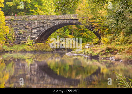 L'automne sur l'Afon Lledr près de Betws-Y-coed, au nord du Pays de Galles, Royaume-Uni Banque D'Images