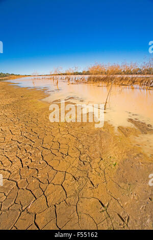 Le lac de Constance dans l'arrière-pays Parc national Diamantina réduit à l'eau de piscine boueuse sol fissuré et sous ciel bleu pendant la sécheresse australienne Banque D'Images