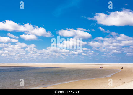 DEU, Allemagne, Schleswig-Holstein, Mer du Nord, Amrum island, la plage près de Kniepsand Wittduen. DEU, Deutschland, Schleswig-Hols Banque D'Images