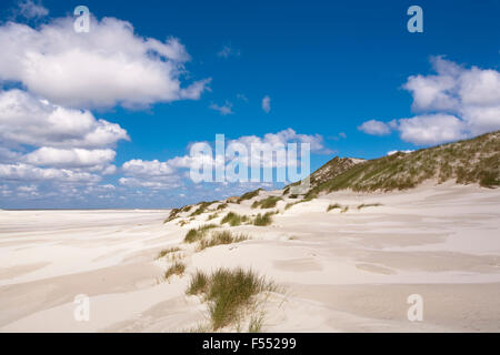 DEU, Allemagne, Schleswig-Holstein, Mer du Nord, Amrum island, sur la plage en Sueddorf Kniepsand. DEU, Deutschland, Schleswig-Hol Banque D'Images