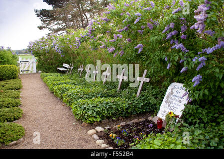 DEU, Allemagne, Schleswig-Holstein, Mer du Nord, Amrum island, le cimetière des sans-abri dans la région de Nebel. DEU, Deutschland, SCH Banque D'Images