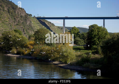 Pont moderne sur la Moselle, de vignes dans l'arrière-plan. Banque D'Images