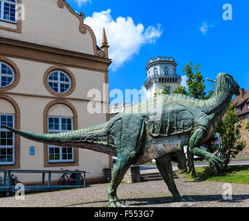 Musée d'Histoire Naturelle à Kassel, Allemagne Banque D'Images