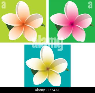 Frangipani lumineux en format vectoriel. Illustration de Vecteur
