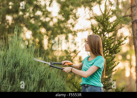 Jeune femme de découpe avec un sécateur at yard Banque D'Images
