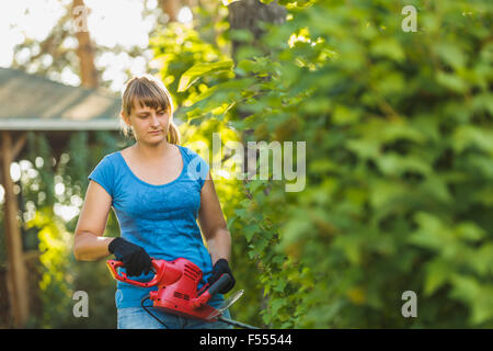 Femme de découpe avec hedge clipper at yard Banque D'Images