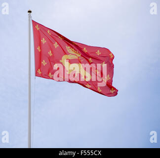 Francis JE Royal Standard. Le royal standard pour le Roi François I De France, un champ rouge, salamandre d'or avec fleurs de lis Banque D'Images