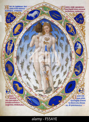 Zodiaque anatomique homme du début du xve siècle Tres Riches Heures du Duc de Berry Banque D'Images