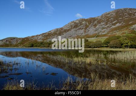 Llyn Cwm Bychan dans Rhinogydd les montagnes du Parc National de Snowdonia au Pays de Galles Cymru UK GO Banque D'Images