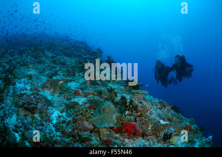 27 septembre 2015 - l'Océan Indien, les Maldives - Jeune couple à la recherche du coral divers, de l'Océan Indien, les Maldives (crédit Image : © Andrey Nekrasov/ZUMA/ZUMAPRESS.com) fil Banque D'Images