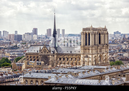 Vue aérienne de Paris avec la cathédrale Notre-Dame Banque D'Images